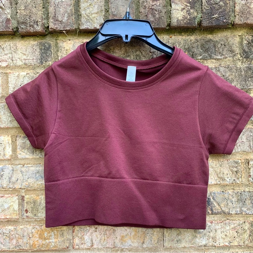 OFFLINE by Aerie Sidewalk Seamless Cropped T-Shirt  NWT